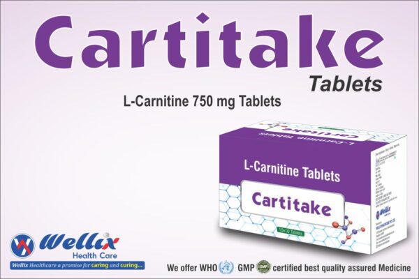 CARTITAKE