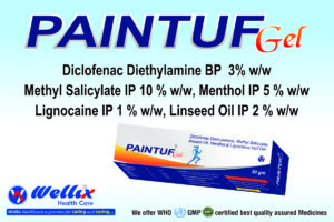 PAINTUF GEL